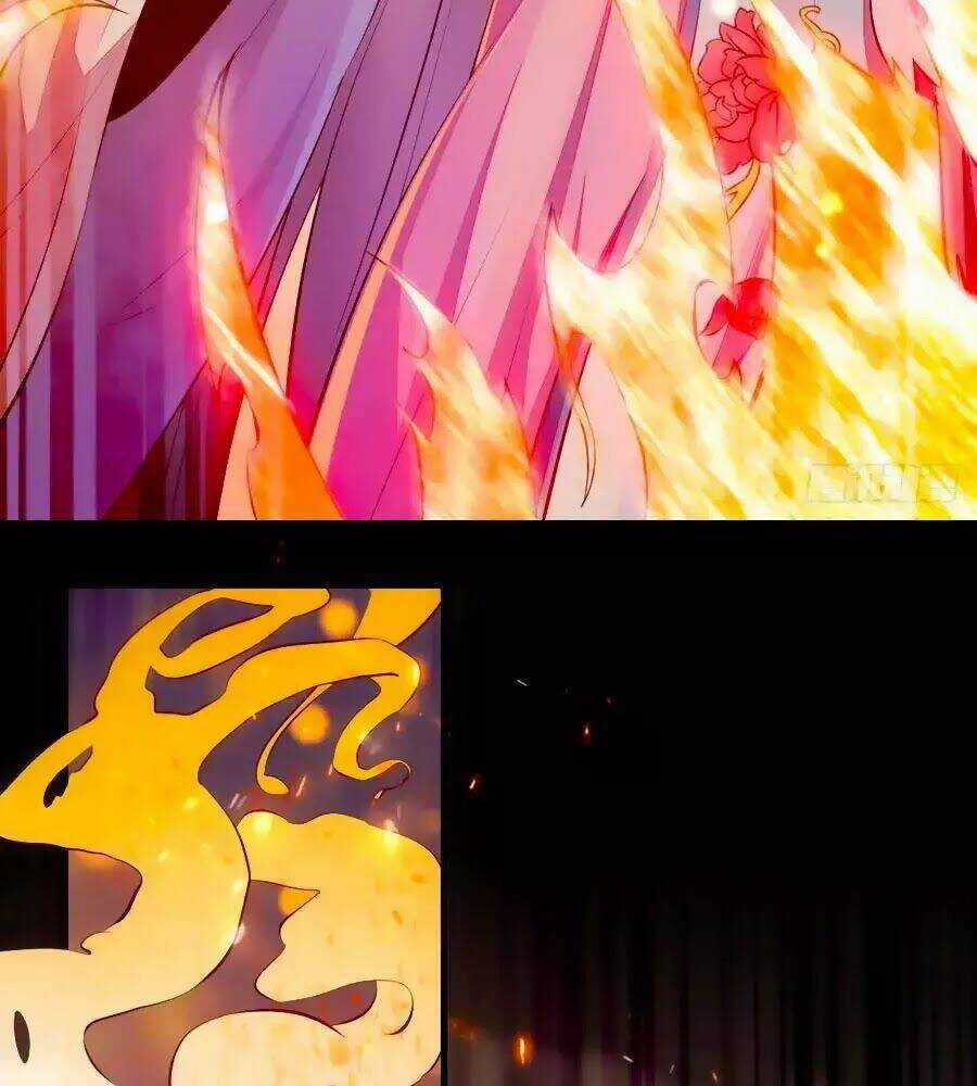 Thần Y Khí Nữ: Ngự Thú Cuồng Phi Của Quỷ Đế Chapter 59 trang 11