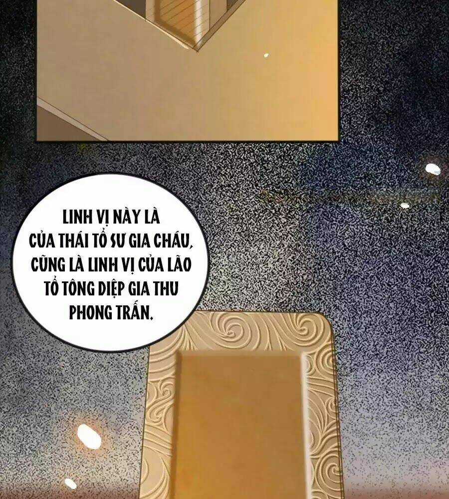 Thần Y Khí Nữ: Ngự Thú Cuồng Phi Của Quỷ Đế Chapter 60 trang 19