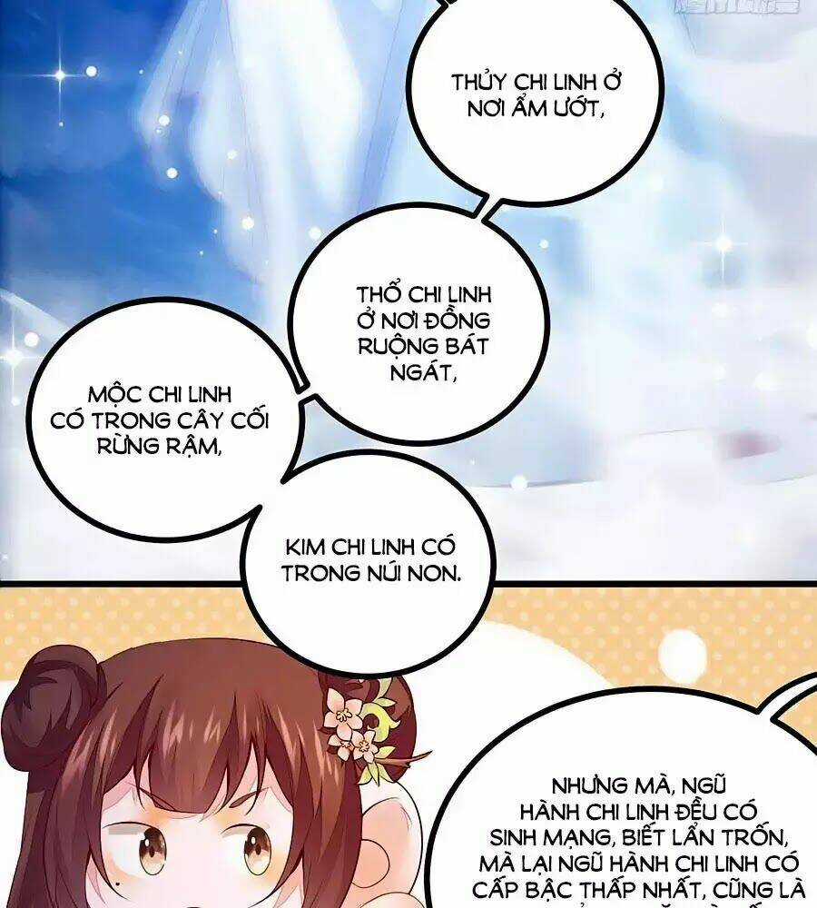 Thần Y Khí Nữ: Ngự Thú Cuồng Phi Của Quỷ Đế Chapter 61 trang 25