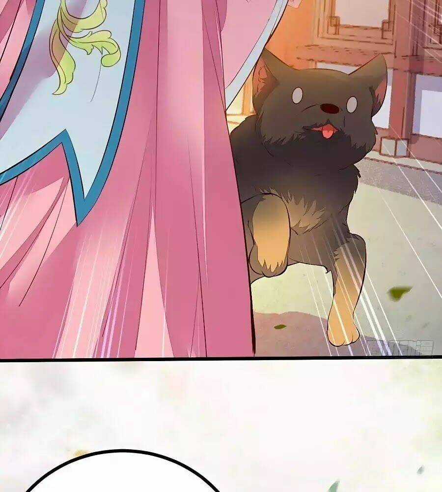 Thần Y Khí Nữ: Ngự Thú Cuồng Phi Của Quỷ Đế Chapter 61 trang 63