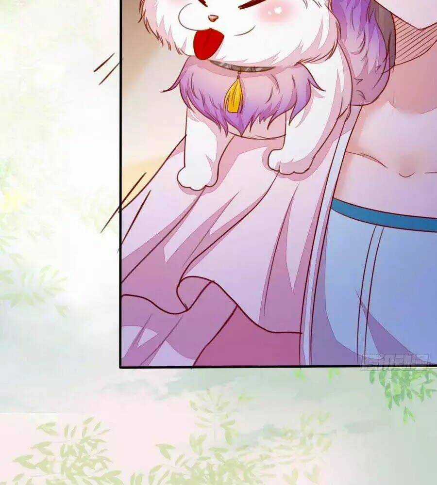 Thần Y Khí Nữ: Ngự Thú Cuồng Phi Của Quỷ Đế Chapter 62 trang 39