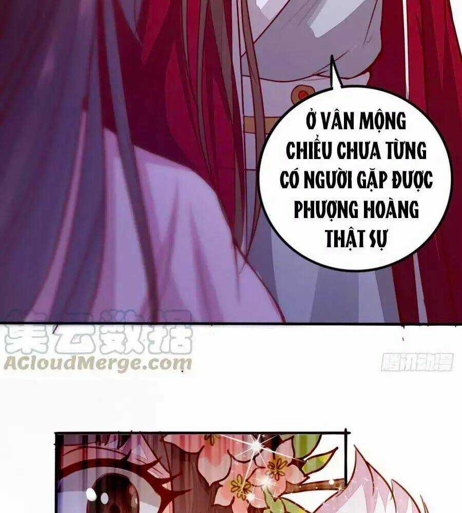 Thần Y Khí Nữ: Ngự Thú Cuồng Phi Của Quỷ Đế Chapter 62 trang 6