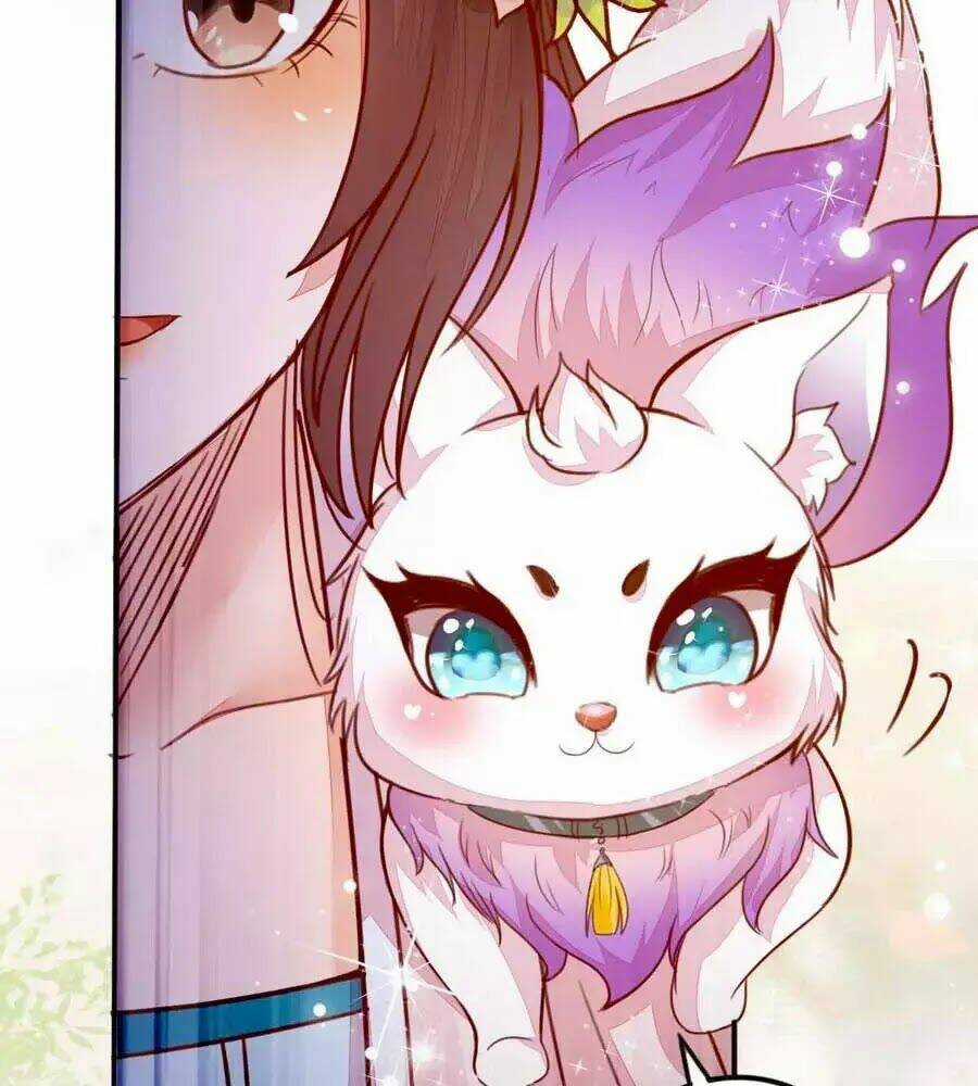 Thần Y Khí Nữ: Ngự Thú Cuồng Phi Của Quỷ Đế Chapter 62 trang 7