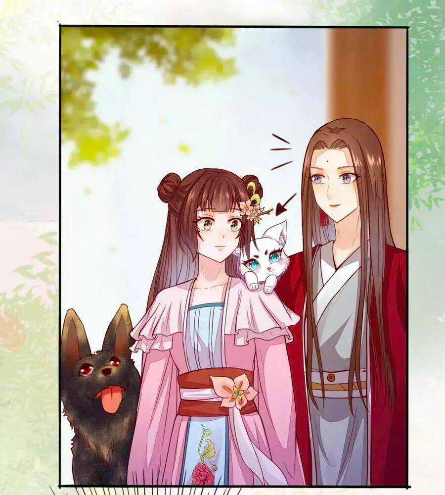 Thần Y Khí Nữ: Ngự Thú Cuồng Phi Của Quỷ Đế Chapter 62 trang 9