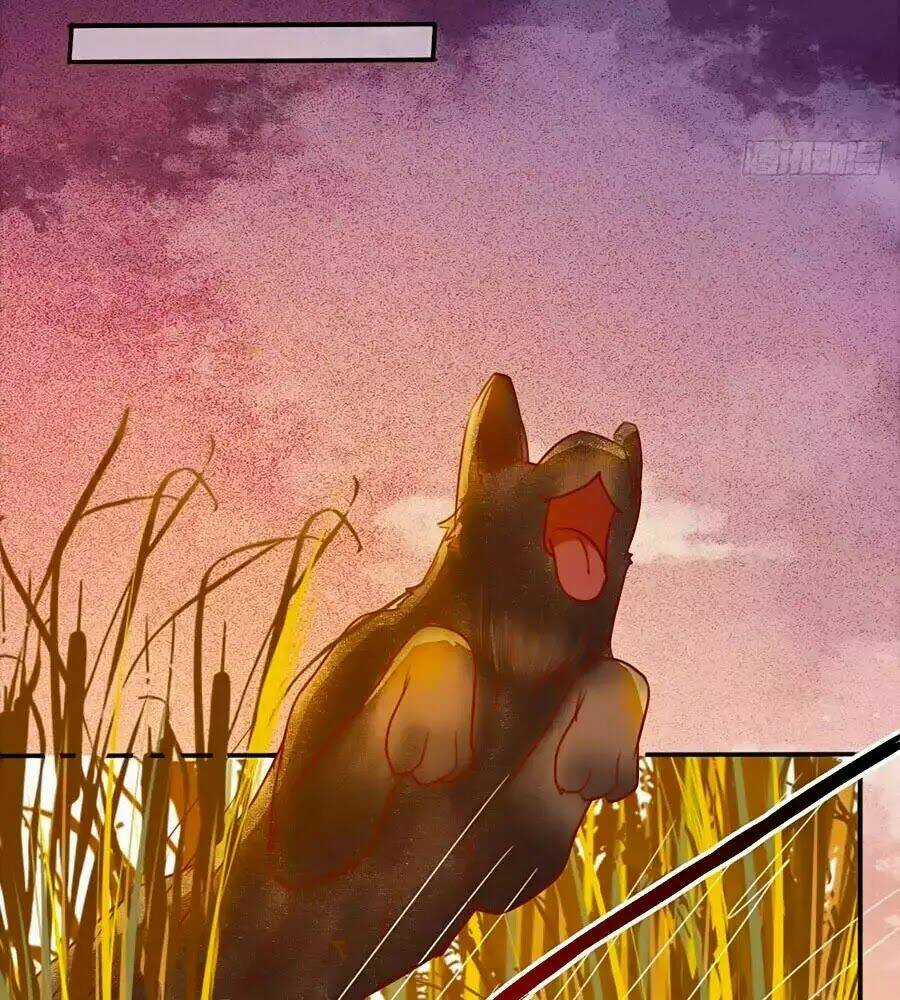 Thần Y Khí Nữ: Ngự Thú Cuồng Phi Của Quỷ Đế Chapter 63 trang 51