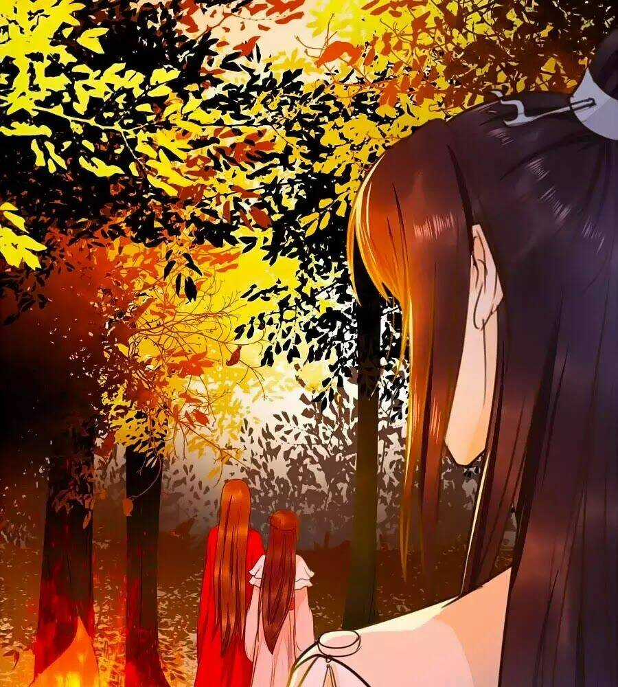 Thần Y Khí Nữ: Ngự Thú Cuồng Phi Của Quỷ Đế Chapter 63 trang 68