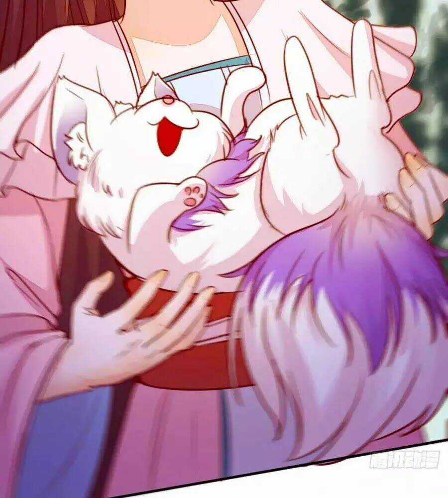 Thần Y Khí Nữ: Ngự Thú Cuồng Phi Của Quỷ Đế Chapter 65 trang 48