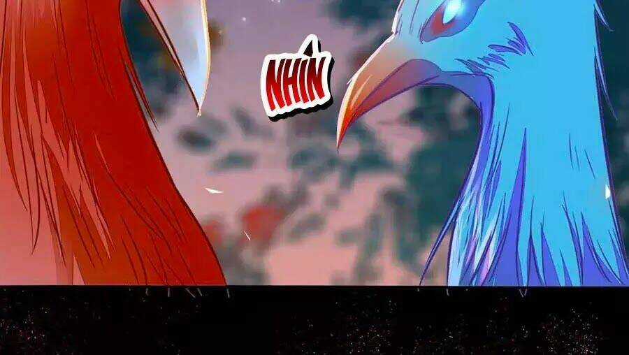 Thần Y Khí Nữ: Ngự Thú Cuồng Phi Của Quỷ Đế Chapter 69 trang 113