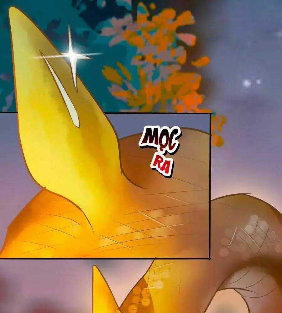 Thần Y Khí Nữ: Ngự Thú Cuồng Phi Của Quỷ Đế Chapter 69 trang 70