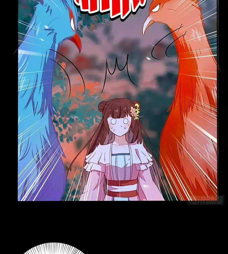 Thần Y Khí Nữ: Ngự Thú Cuồng Phi Của Quỷ Đế Chapter 70 trang 12