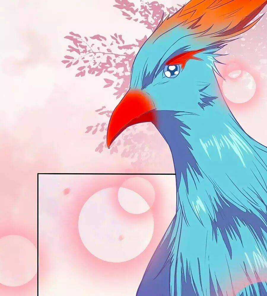 Thần Y Khí Nữ: Ngự Thú Cuồng Phi Của Quỷ Đế Chapter 70 trang 15