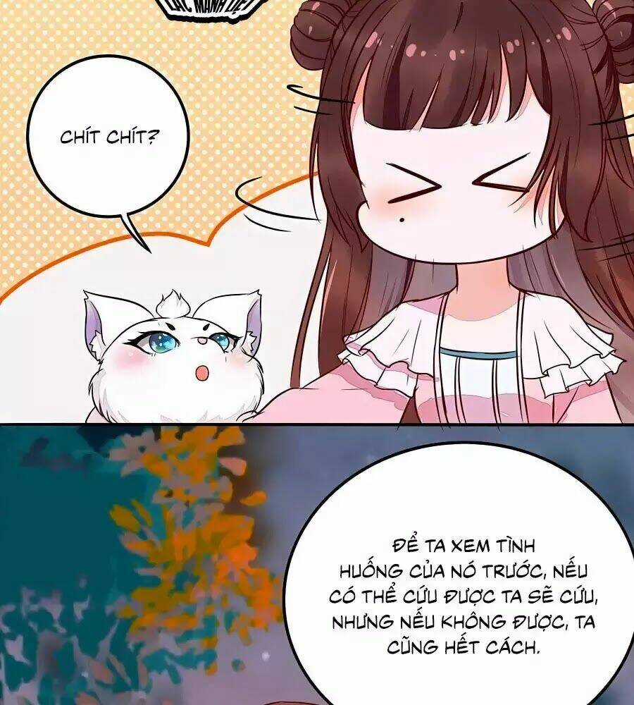 Thần Y Khí Nữ: Ngự Thú Cuồng Phi Của Quỷ Đế Chapter 70 trang 21