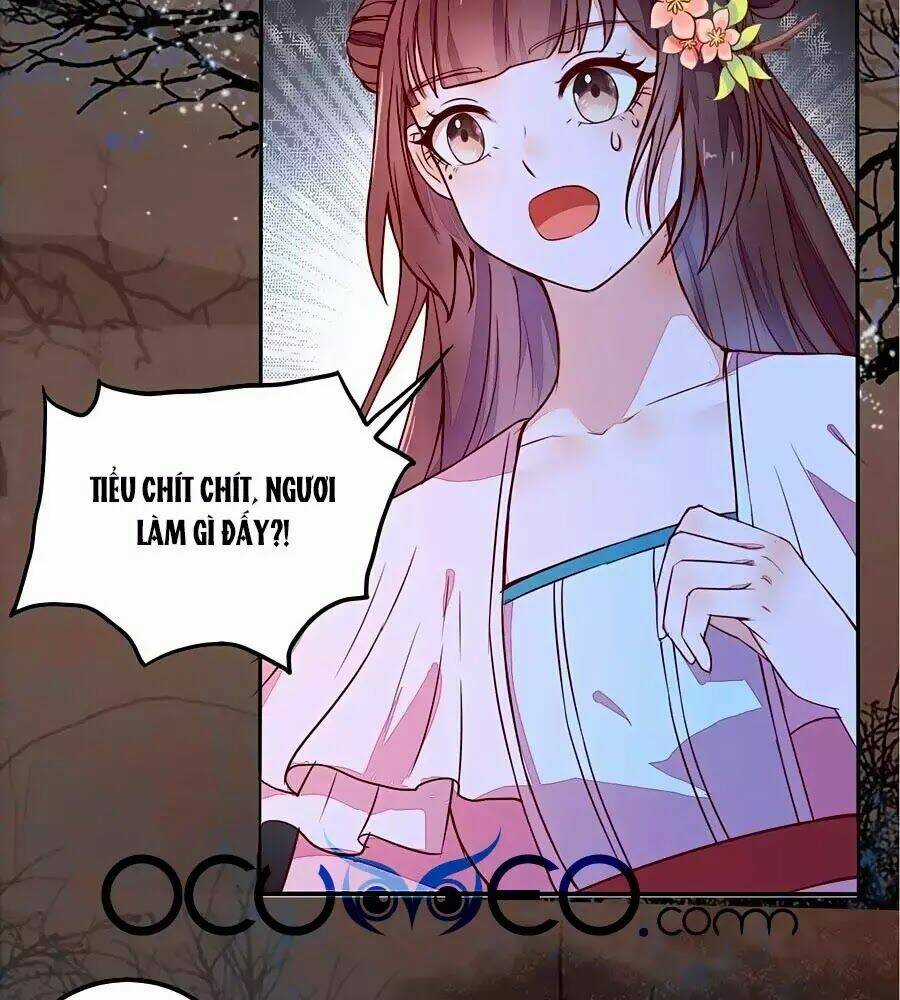 Thần Y Khí Nữ: Ngự Thú Cuồng Phi Của Quỷ Đế Chapter 70 trang 4