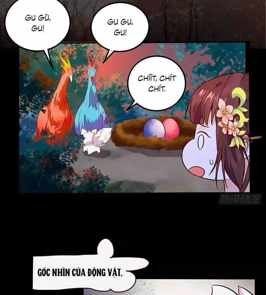 Thần Y Khí Nữ: Ngự Thú Cuồng Phi Của Quỷ Đế Chapter 70 trang 5