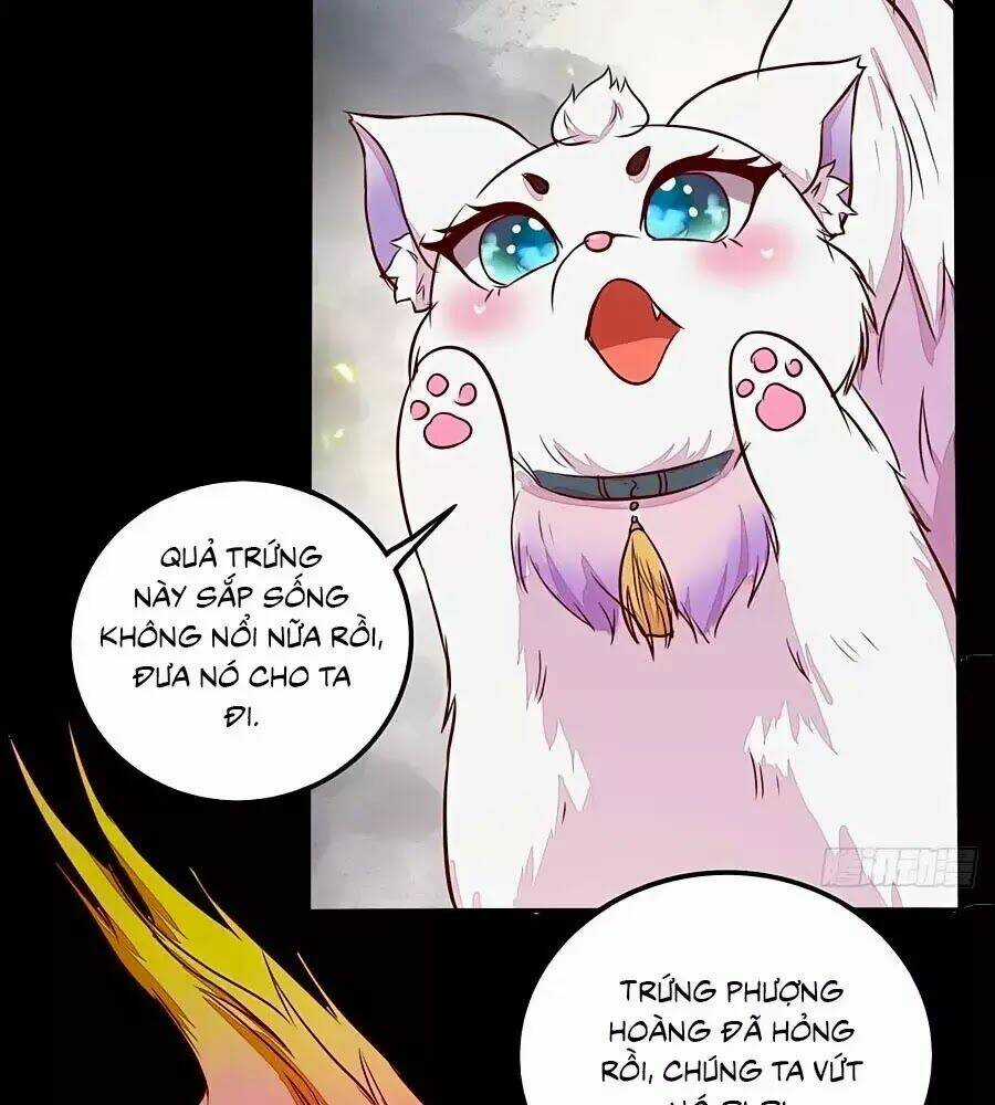 Thần Y Khí Nữ: Ngự Thú Cuồng Phi Của Quỷ Đế Chapter 70 trang 6