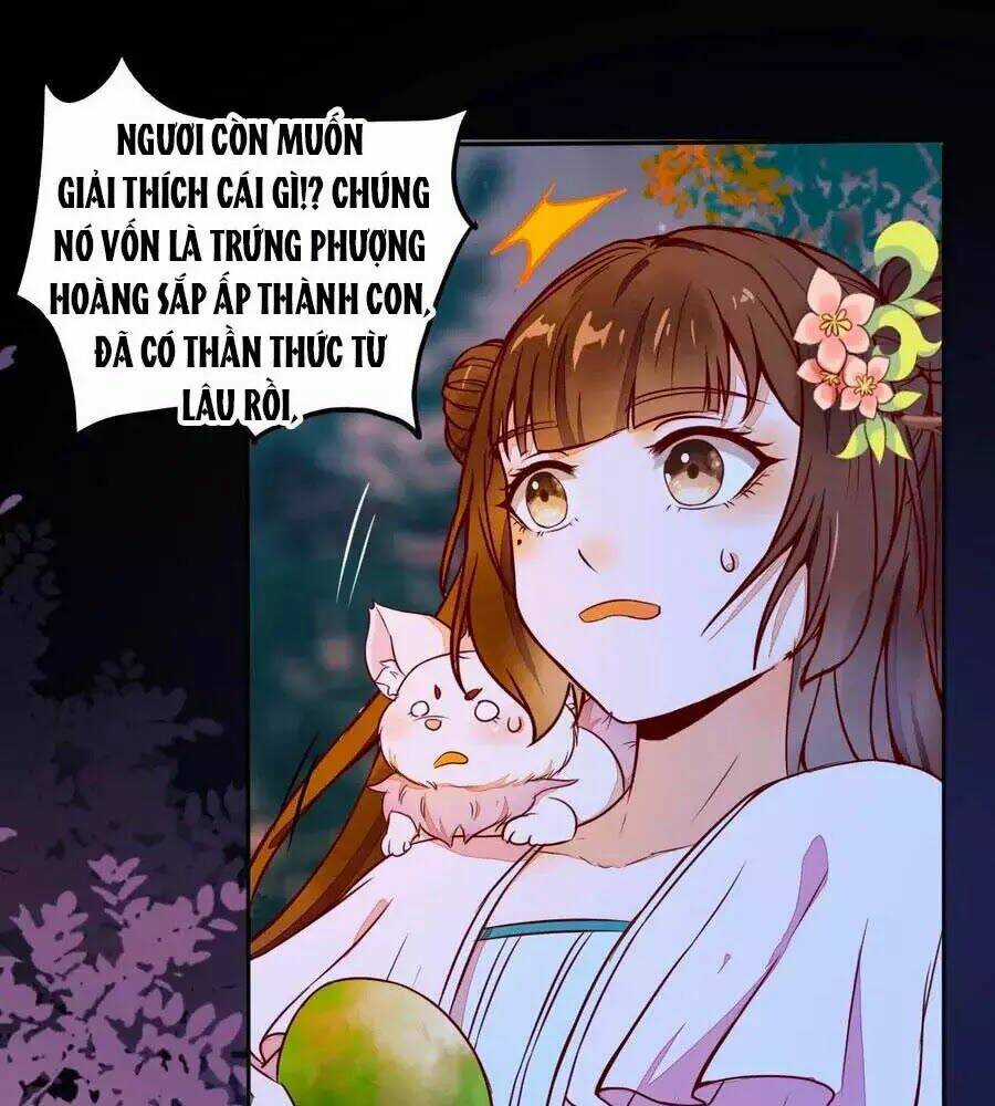 Thần Y Khí Nữ: Ngự Thú Cuồng Phi Của Quỷ Đế Chapter 71 trang 0