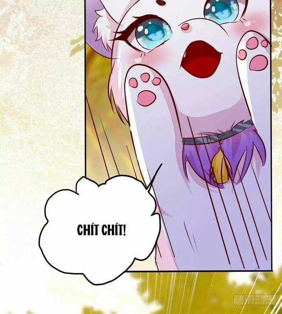 Thần Y Khí Nữ: Ngự Thú Cuồng Phi Của Quỷ Đế Chapter 73 trang 83