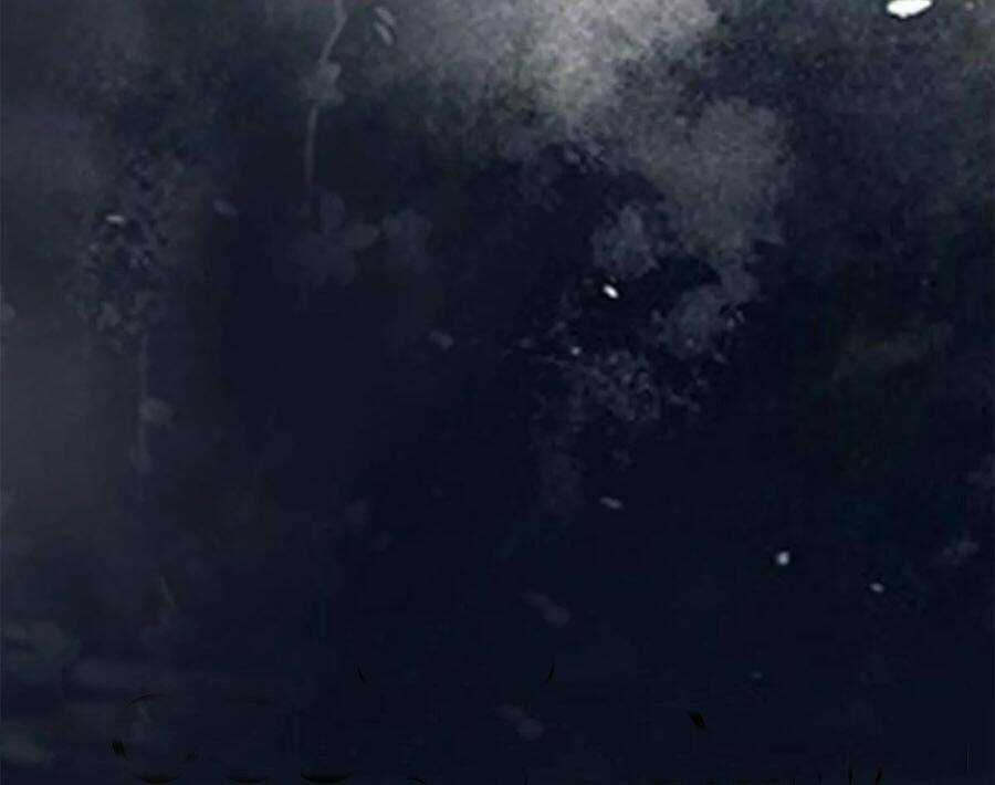 Thần Y Khí Nữ: Ngự Thú Cuồng Phi Của Quỷ Đế Chapter 90 trang 7