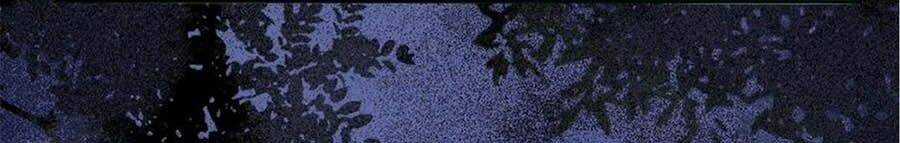 Thần Y Khí Nữ: Ngự Thú Cuồng Phi Của Quỷ Đế Chapter 96 trang 10