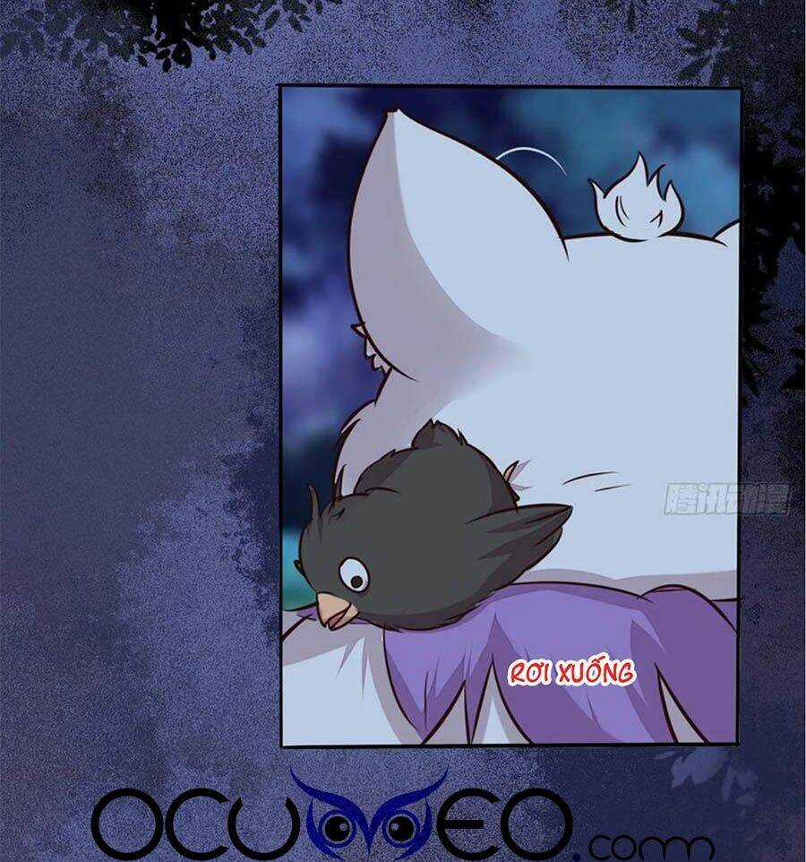 Thần Y Khí Nữ: Ngự Thú Cuồng Phi Của Quỷ Đế Chapter 96 trang 11