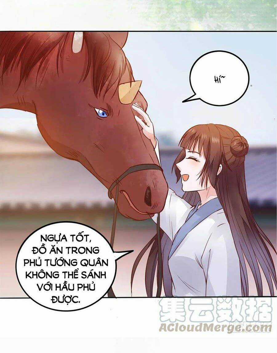 Thần Y Khí Nữ: Ngự Thú Cuồng Phi Của Quỷ Đế Chapter 97 trang 31