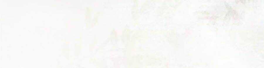 Thần Y Khí Nữ: Ngự Thú Cuồng Phi Của Quỷ Đế Chapter 99 trang 19