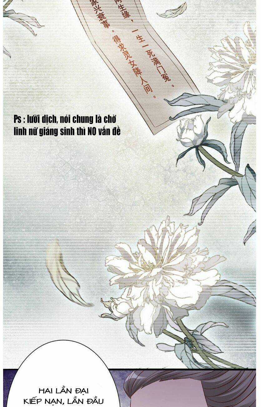 Thần Y Yêu Hậu Chapter 24 trang 13