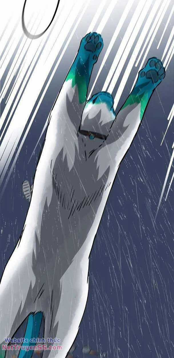 Thăng Cấp Vô Hạn Trong Murim Chapter 176 trang 64