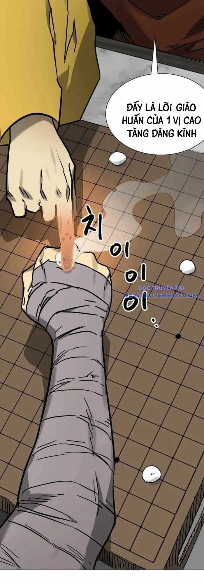 Thăng Cấp Vô Hạn Trong Murim Chapter 219 trang 44