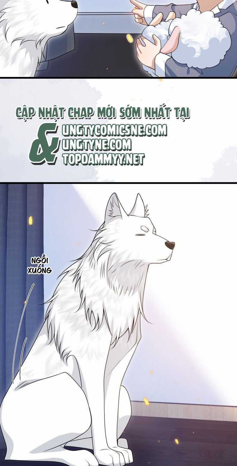 Thẳng Thắn Từ Nghiêm Chapter 137 trang 7