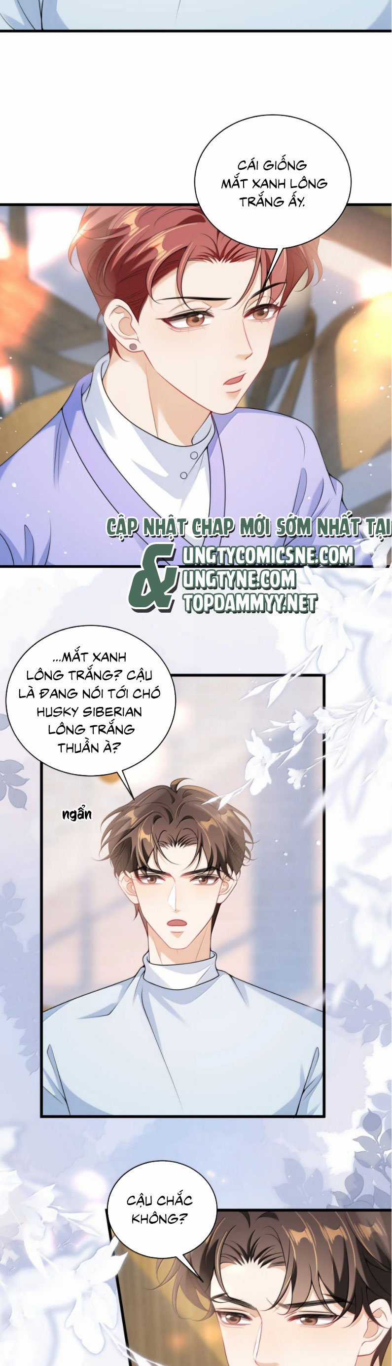 Thẳng Thắn Từ Nghiêm Chapter 142 trang 7
