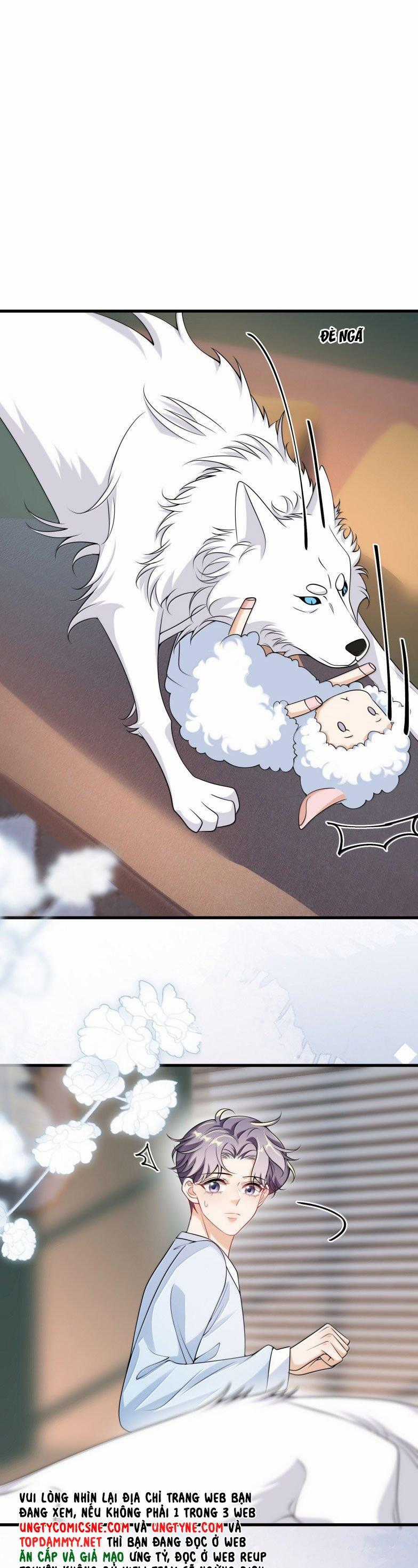 Thẳng Thắn Từ Nghiêm Chapter 143 trang 20