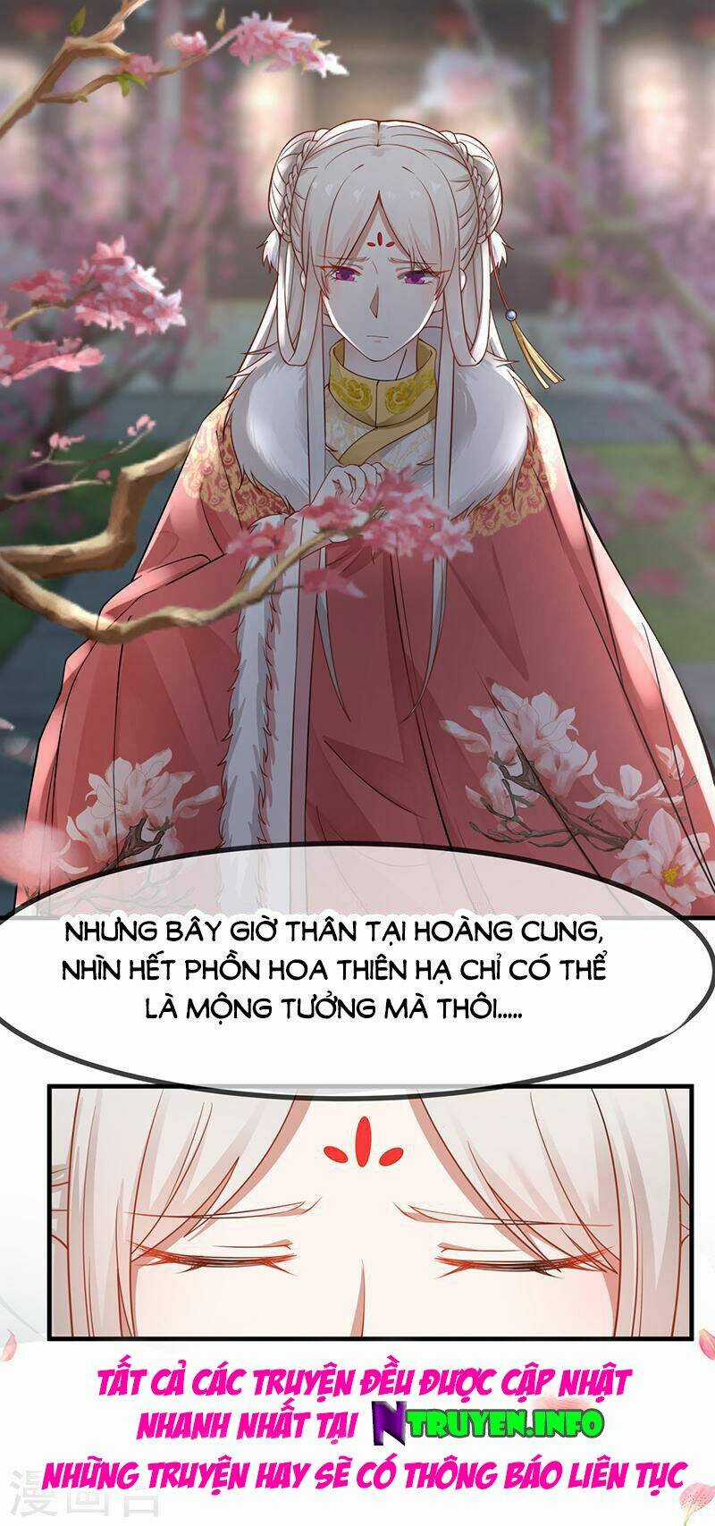 Thanh Cung Chi Ninh Mặc Vô Thanh Chapter 23 trang 7