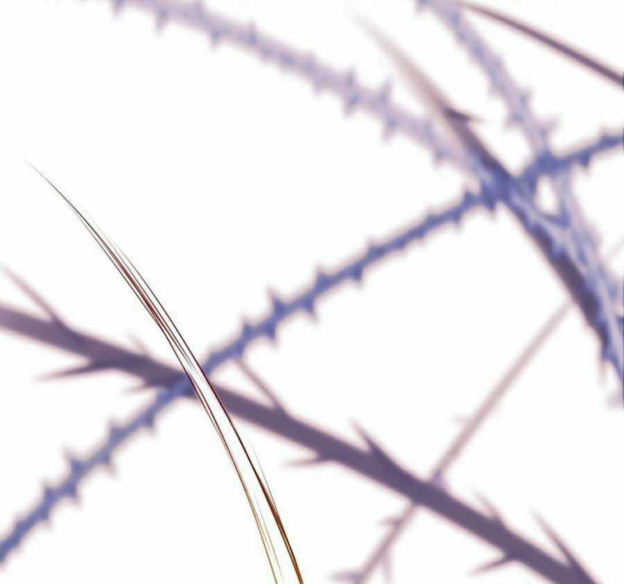 Thành Dã Tiêu Hà Chapter 37 trang 72