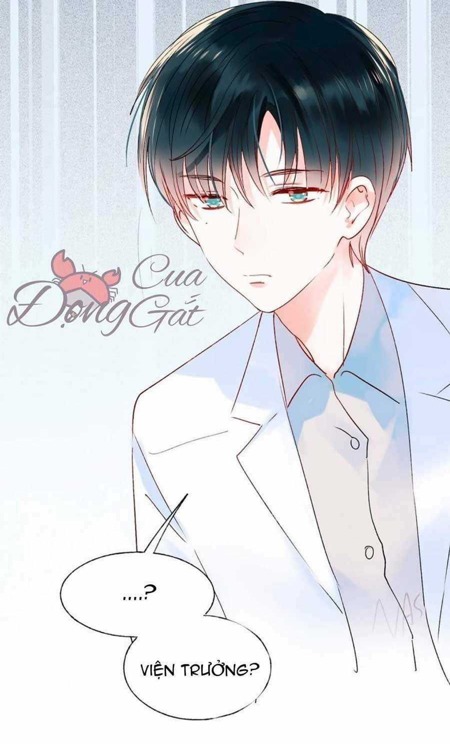 Thành Dã Tiêu Hà Chapter 42 trang 3