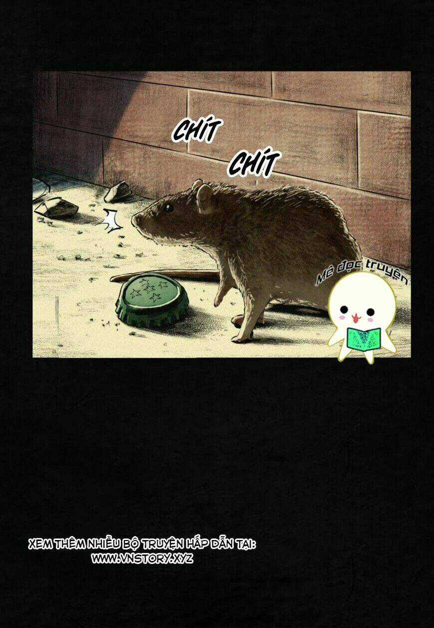 Thành Đô 1995 Chapter 1 trang 56