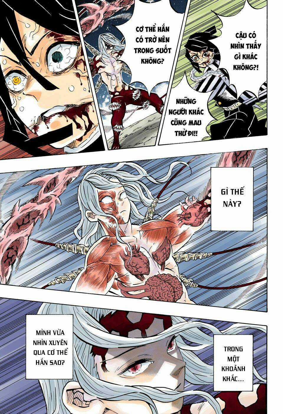 Thanh Gươm Diệt Quỷ Chapter 191 trang 13