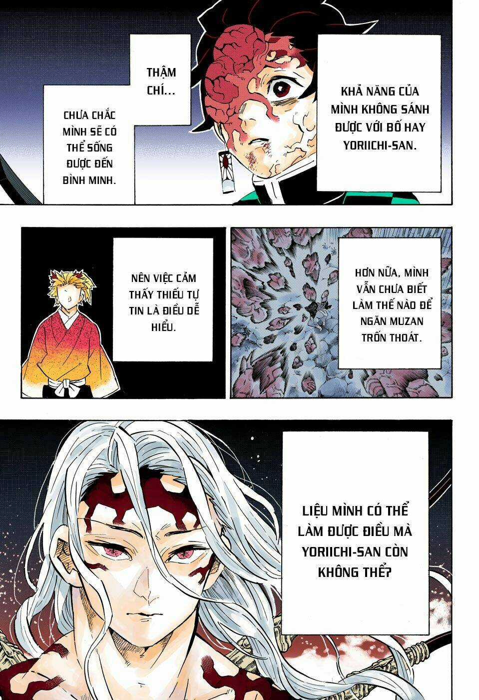 Thanh Gươm Diệt Quỷ Chapter 192 trang 13