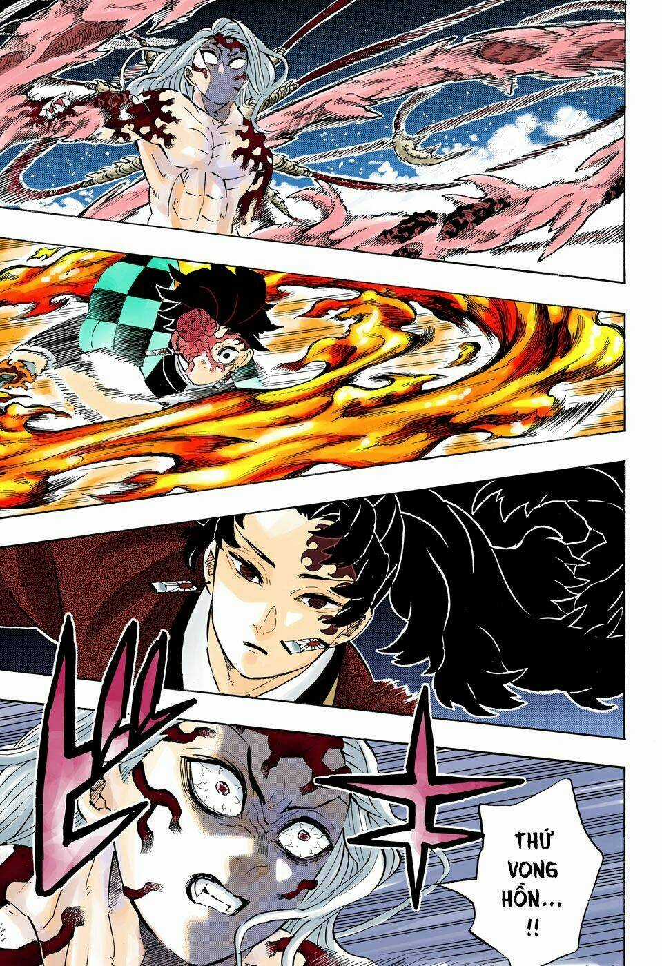 Thanh Gươm Diệt Quỷ Chapter 192 trang 17