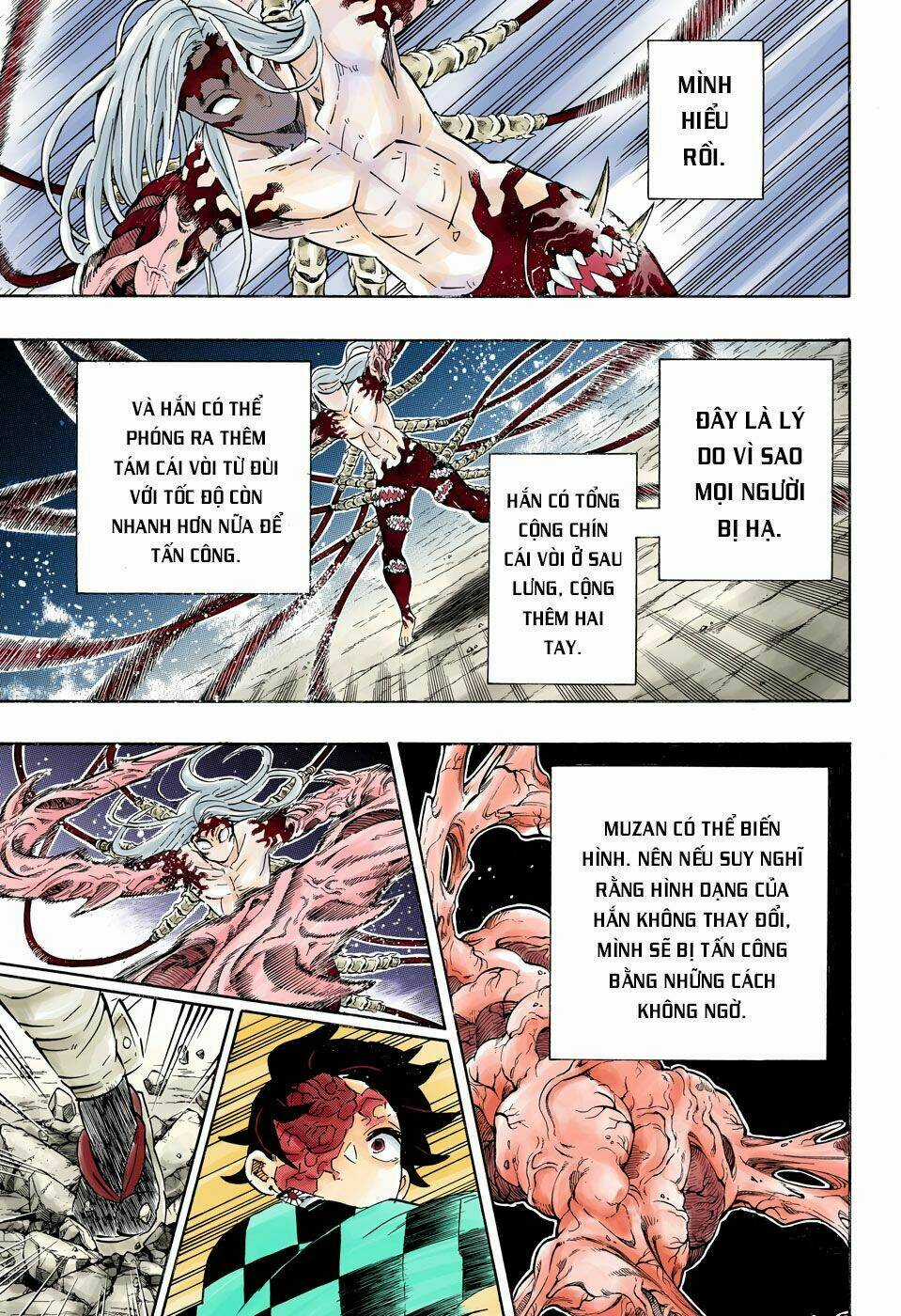 Thanh Gươm Diệt Quỷ Chapter 192 trang 19