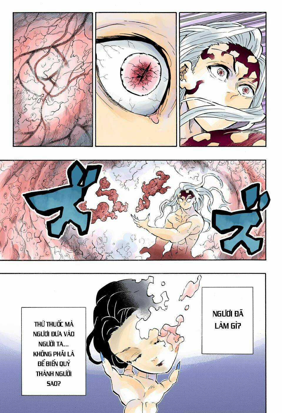 Thanh Gươm Diệt Quỷ Chapter 193 trang 15