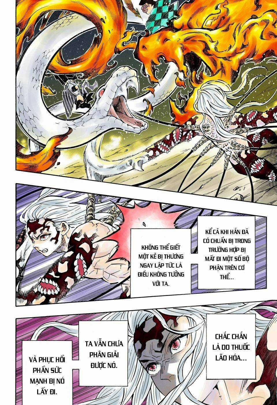 Thanh Gươm Diệt Quỷ Chapter 194 trang 18