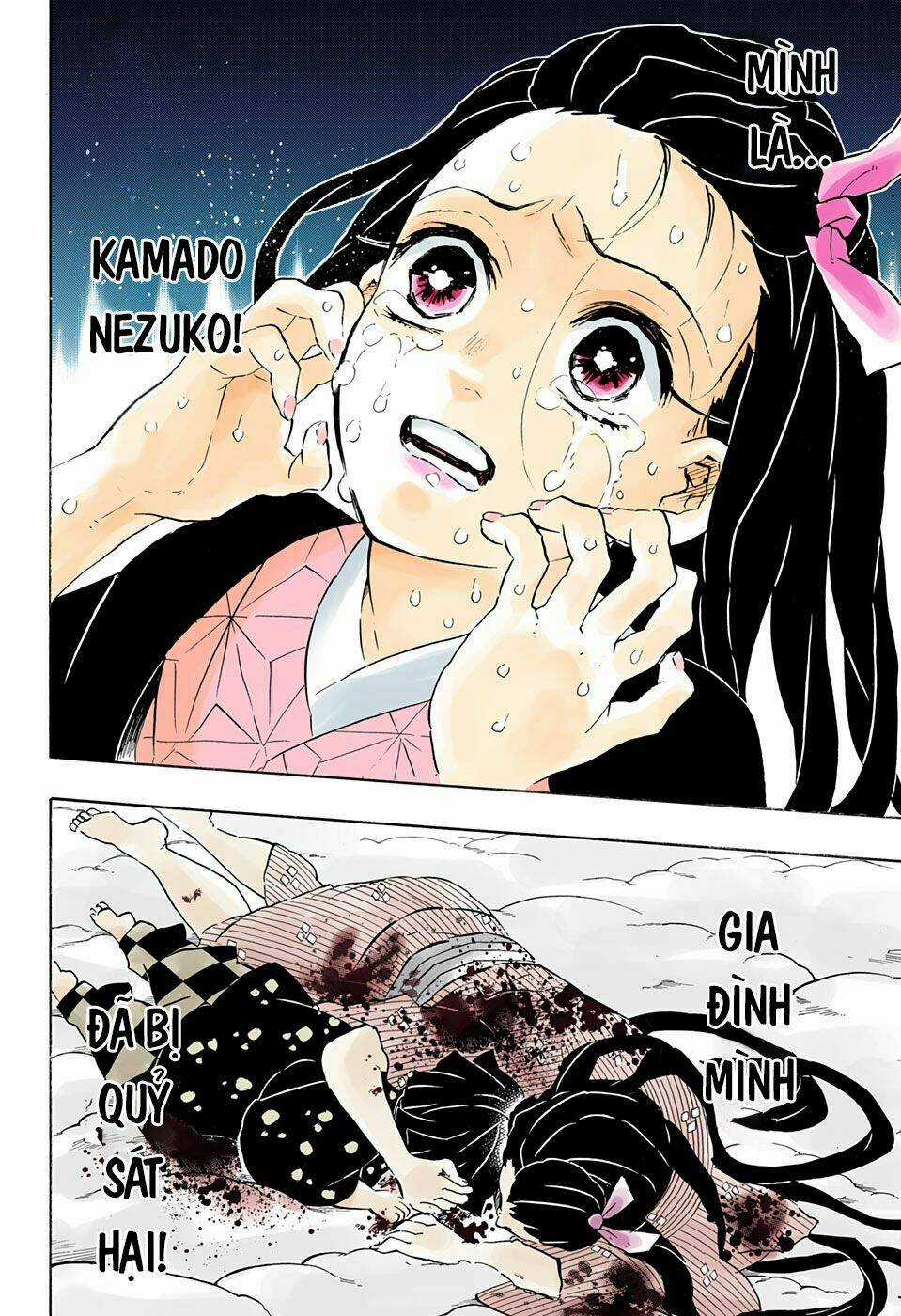 Thanh Gươm Diệt Quỷ Chapter 196 trang 14