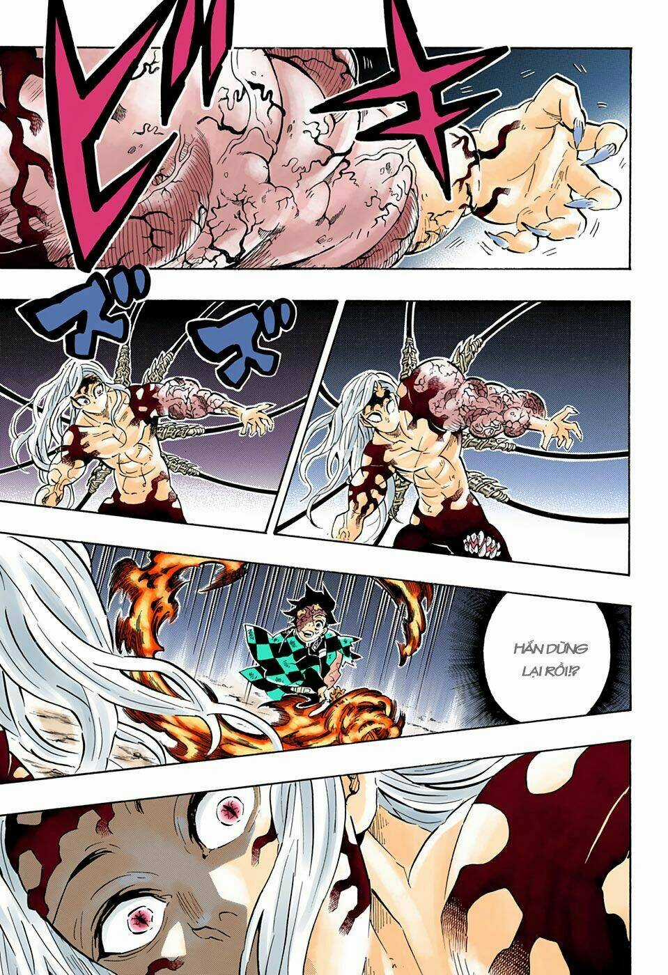 Thanh Gươm Diệt Quỷ Chapter 196 trang 19