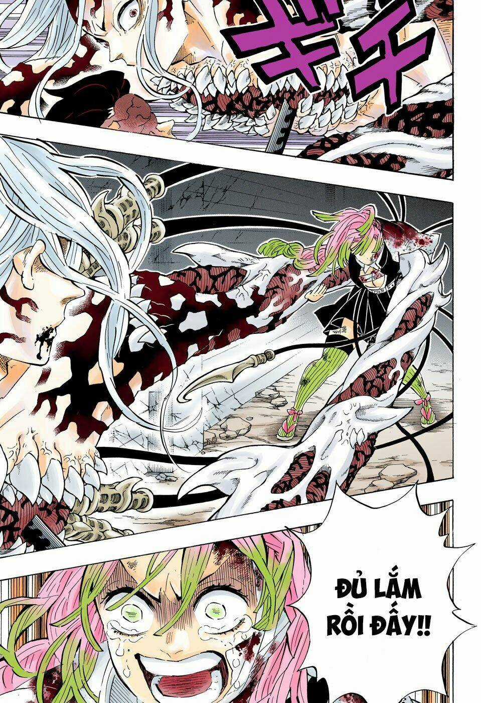 Thanh Gươm Diệt Quỷ Chapter 198 trang 17