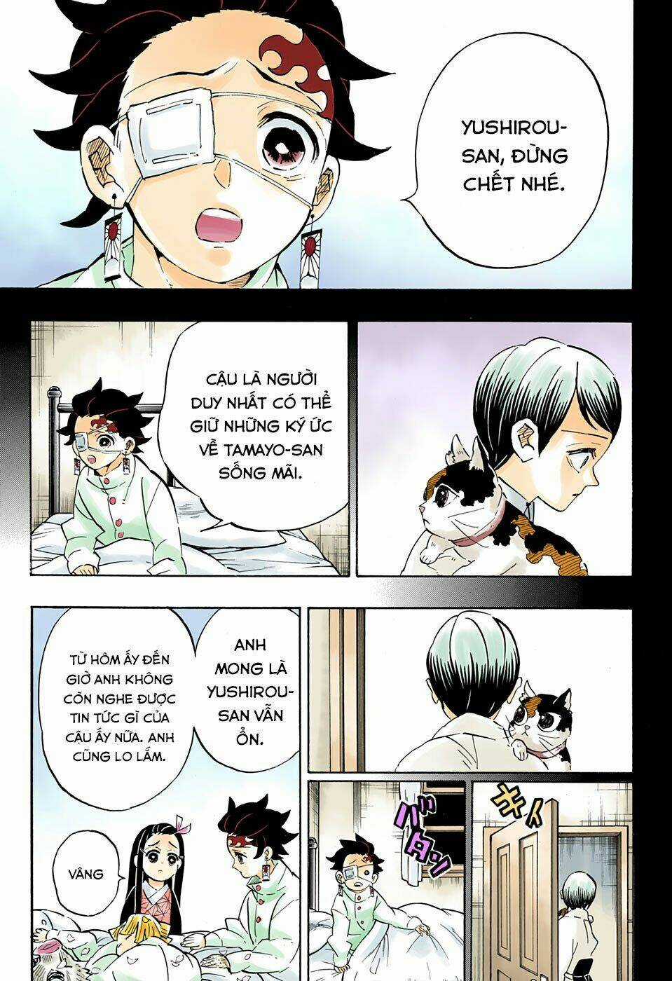 Thanh Gươm Diệt Quỷ Chapter 204 trang 11