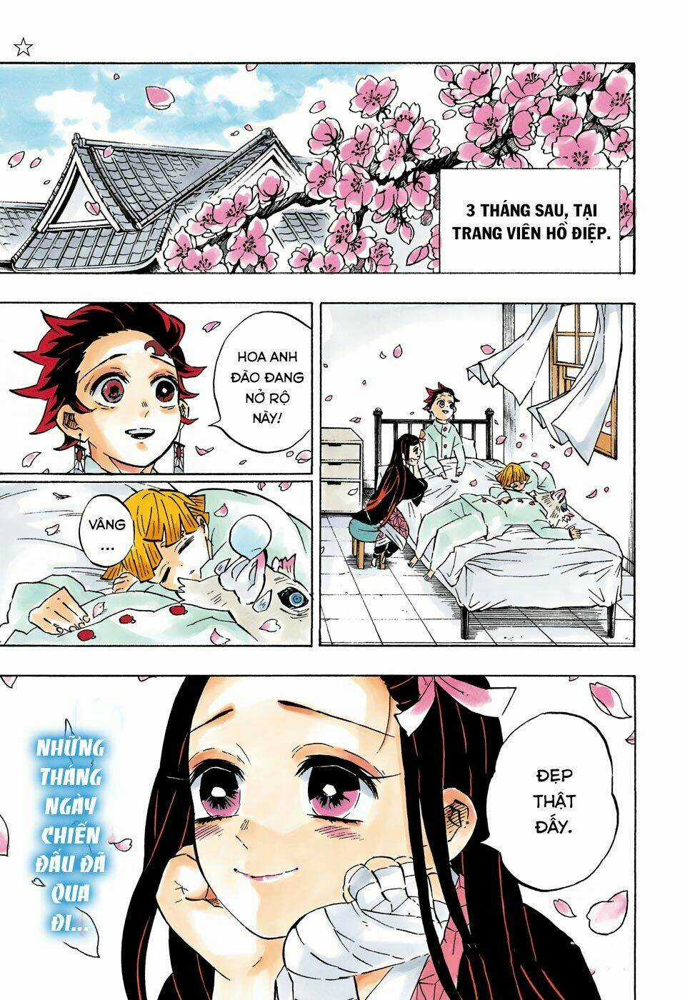 Thanh Gươm Diệt Quỷ Chapter 204 trang 5