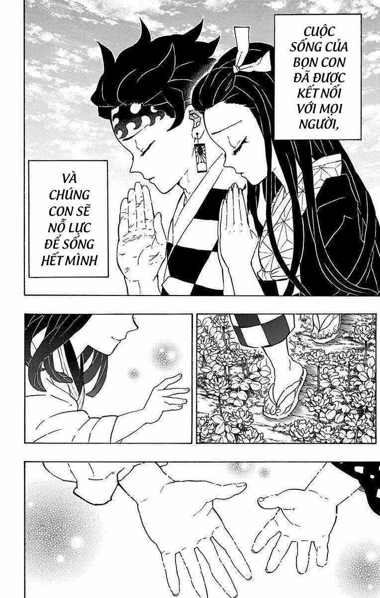 Thanh Gươm Diệt Quỷ Chapter 205.6 trang 15