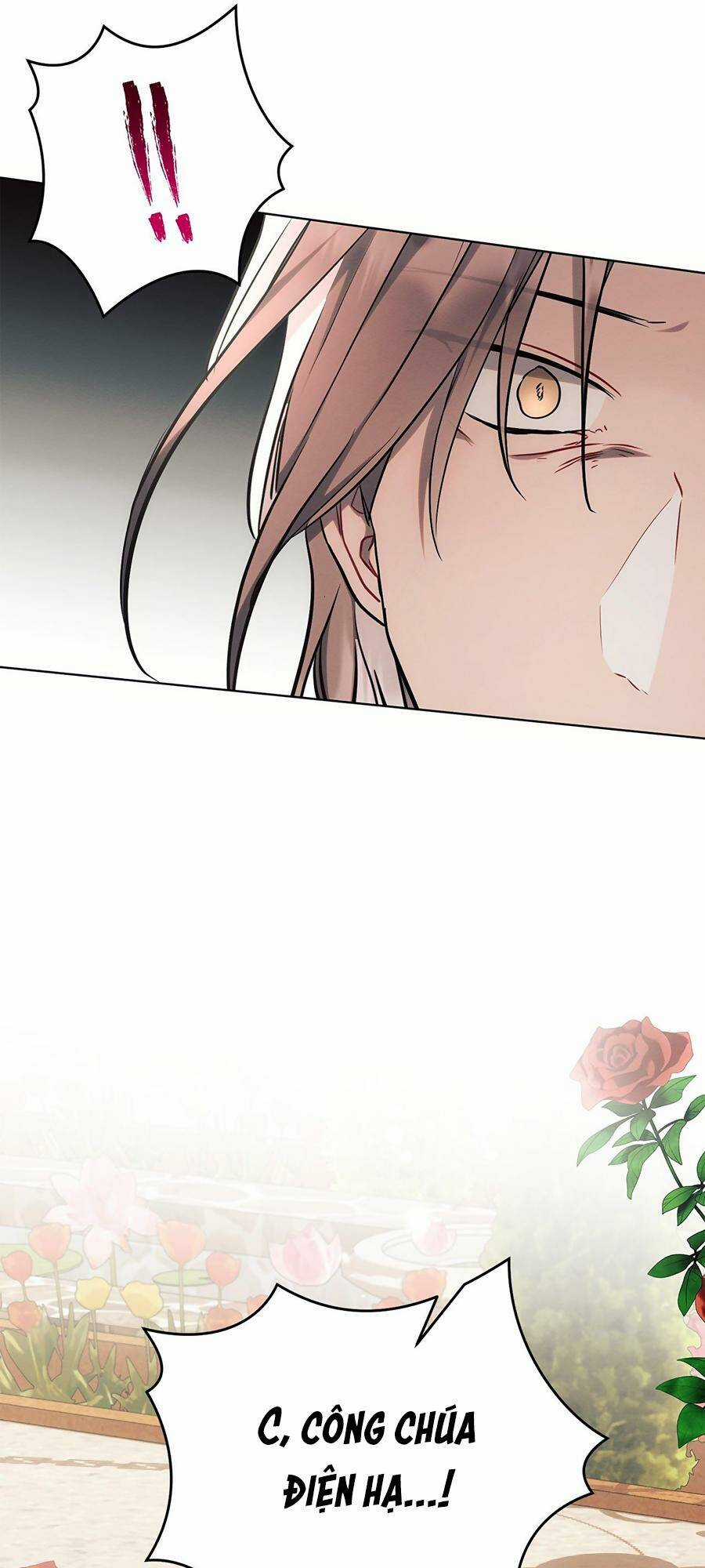 Thánh Hiệp Sĩ Cấp Sss Chapter 66 trang 53