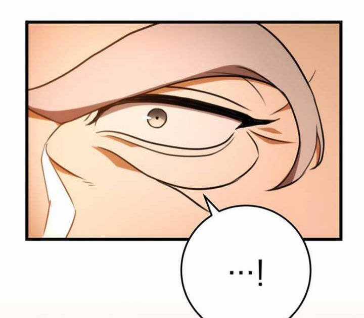 Thanh Kiếm Của Hoàng Đế Chương 17 trang 16